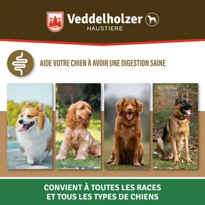 Veddelholzer Probiotiques Chien Friandise Digestive pour Chiens Accessoires
