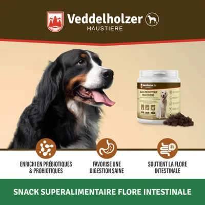 Veddelholzer Probiotiques Chien Friandise Digestive pour Chiens Accessoires