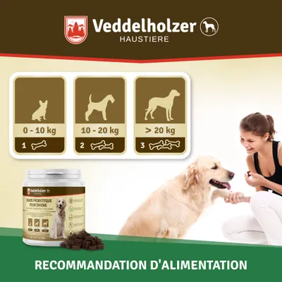 Veddelholzer Probiotiques Chien Friandise Digestive pour Chiens Accessoires