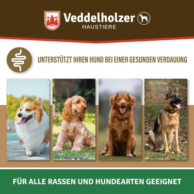 Veddelholzer Probiotiques Chien Friandise Digestive pour Chiens Accessoires Veddelholzer Probiotiques Chien Friandise Digestive pour Chiens Accessoires