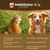 Veddelholzer 250 ML Coco Spray Chien et Chat. Dévitalisation des Chiens