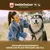 Veddelholzer 250 ML Coco Spray Chien et Chat. Dévitalisation des Chiens