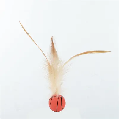 MCBOSON Balle rebondissante pour chat