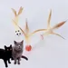 MCBOSON Balle rebondissante pour chat