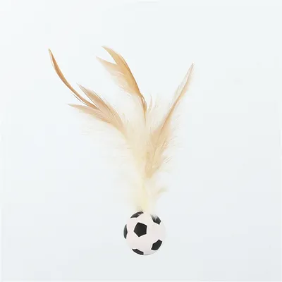 MCBOSON Balle rebondissante pour chat