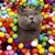 MCBOSON 3CM Jouet en peluche pour chat 20PCS MCBOSON 3CM Jouet en peluche pour chat 20PCS