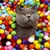 MCBOSON 3CM Jouet en peluche pour chat 20PCS MCBOSON 3CM Jouet en peluche pour chat 20PCS