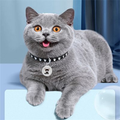 MCBOSON Localisateur pour animaux de compagnie