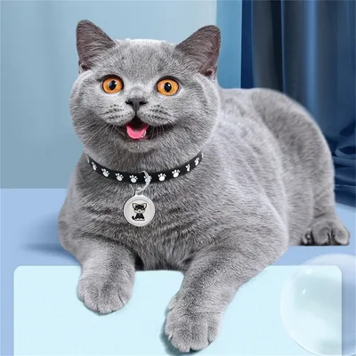 MCBOSON Localisateur pour animaux de compagnie