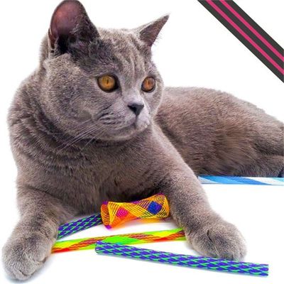MCBOSON Federspielzeug für Katzen, 10 Stück