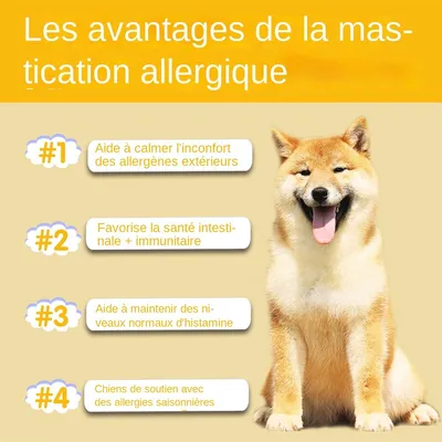 MCBOSON Comprimés à mâcher anti allergies pour chiens