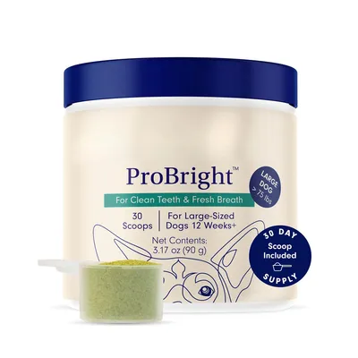 MCBOSON  Poudre dentaire pour chats et chiens