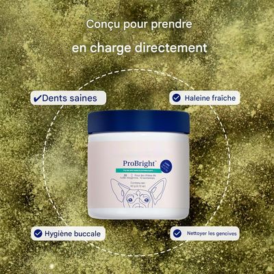 MCBOSON  Poudre dentaire pour chats et chiens