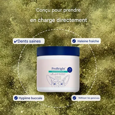 MCBOSON  Poudre dentaire pour chats et chiens