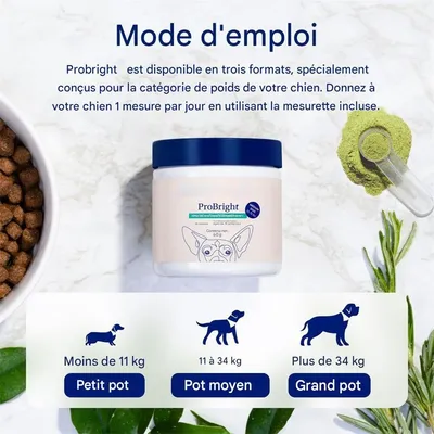 MCBOSON  Poudre dentaire pour chats et chiens