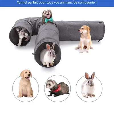 MCBOSON  Tunnel de jeu pour chats