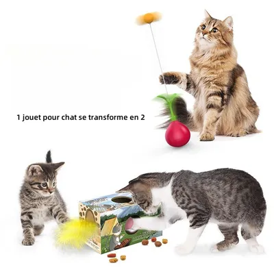 Pet Planet Jouet double fonction bâton toupie pour chat