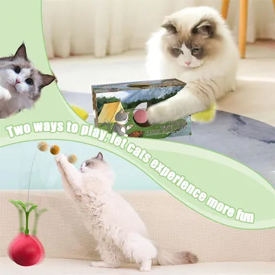 Pet Planet Jouet double fonction bâton toupie pour chat