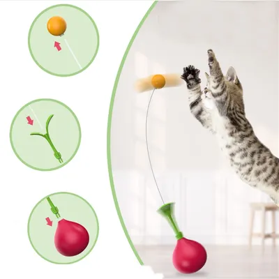 Pet Planet Jouet double fonction bâton toupie pour chat