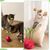 Pet Planet Jouet double fonction bâton toupie pour chat