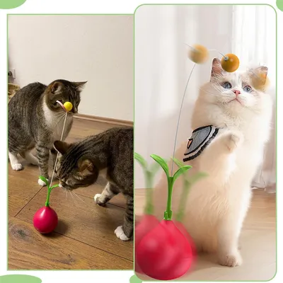 Pet Planet Jouet double fonction bâton toupie pour chat