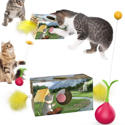 Pet Planet Jouet double fonction bâton toupie pour chat