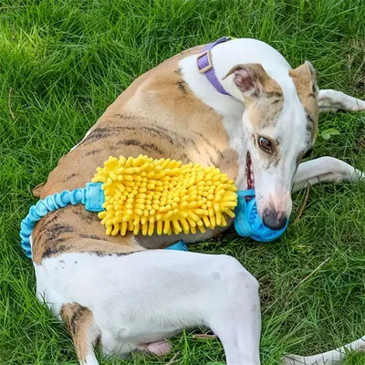 MCBOSON Seilspielzeug für Hunde