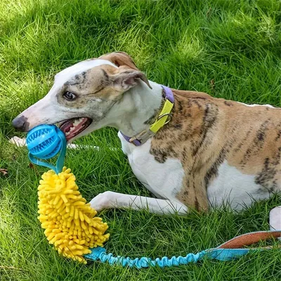 MCBOSON Seilspielzeug für Hunde