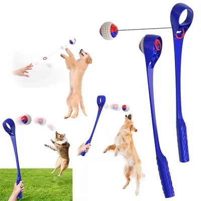 CoolPetGear Jouet interactif pour chien