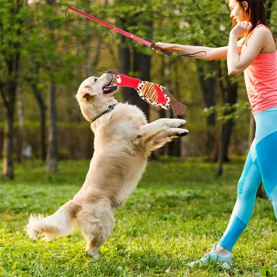 MCBOSON Canne extensible à pêche Teaser pour chat