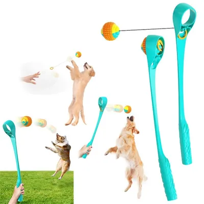 CoolPetGear Jouet interactif pour chien