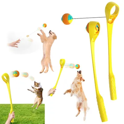 CoolPetGear Jouet interactif pour chien