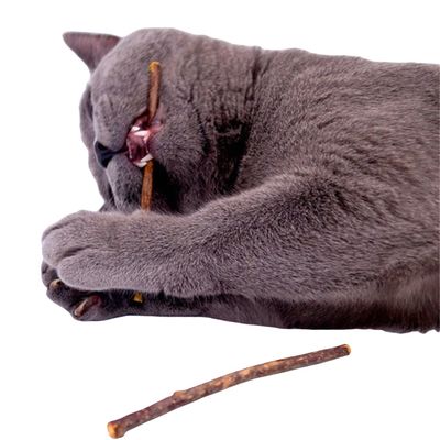 Bâtonnet Matatabi pour nettoyage dentaire Cinq pièces