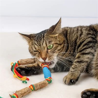 MCBOSON Jouet en corde pour chat en bois
