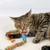 MCBOSON Jouet en corde pour chat en bois