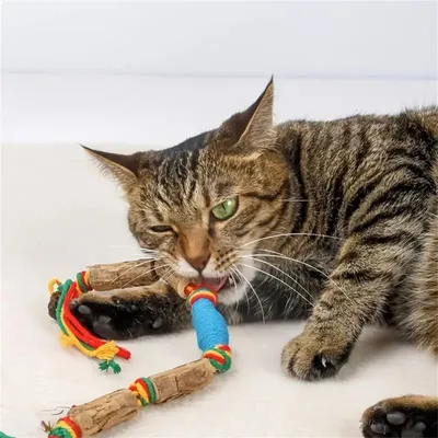 MCBOSON Jouet en corde pour chat en bois