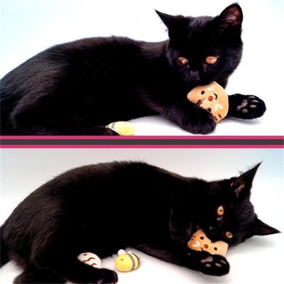 MCBOSON Jouet interactif en peluche pour chat
