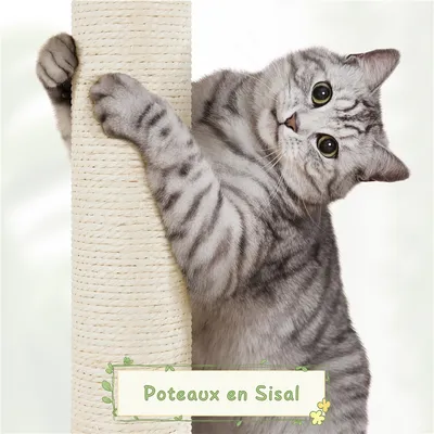 Yaheetech Arbre à Chat en Rotin