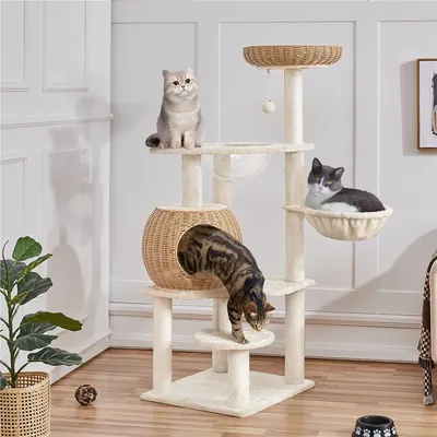 Arbre à Chat En Rotin Avec Cachette Ronde Perchoir Paniers Griffoir
