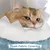 Yaheetech Grand Arbre à Chat Design Océan