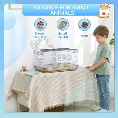 PawHut - Cage Hamster avec Tunnel et Accessoires H.31 cm - Gris PawHut - Cage Hamster avec Tunnel et Accessoires H.31 cm - Gris