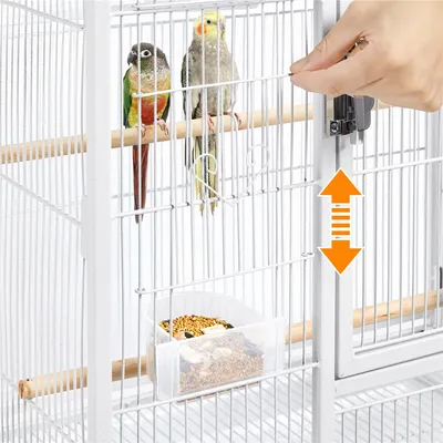 Grande Cage à Oiseaux Sur Pied En Métal Avec Loquet Robuste