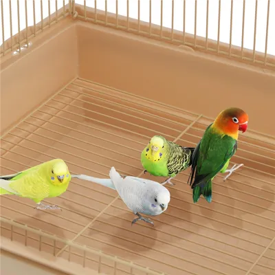 Yaheetech Cage à Oiseaux Décorative
