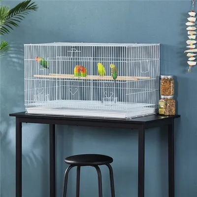 Cage à Oiseaux Avec Espace Spacieuse, Plateau Coulissant