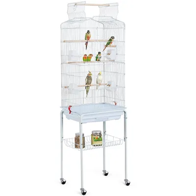 Cage à Oiseaux En Métal à Toit Ouvert Avec Portes Doubles