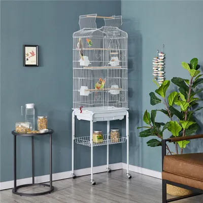 Cage à Oiseaux En Métal à Toit Ouvert Avec Portes Doubles