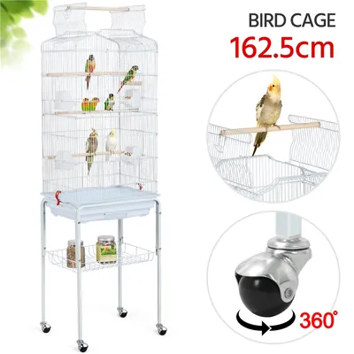 Cage à Oiseaux En Métal à Toit Ouvert Avec Portes Doubles