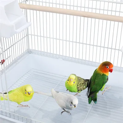 Yaheetech Cage à Oiseaux Portable