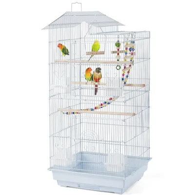Cage à Oiseaux En Métal Avec Perchoirs, Plateau Coulissant Mangeoires