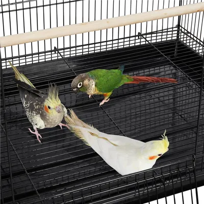 Yaheetech Cage à Oiseaux Spacieuse